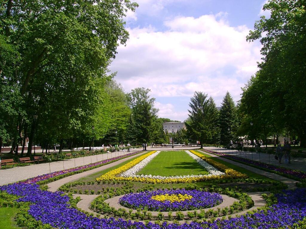 Rezydencja Pod Teznia & Spa Inowroclaw Esterno foto